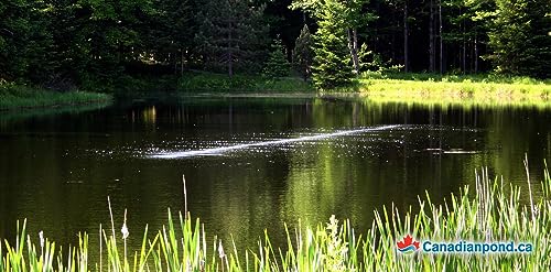 (½ in) – Fine bubble self-sinking diffuser airline for pond & water garden aeration | High oxygen transfer, aerates and de-ices ponds, easy installation (100') - size: 100 Feet
