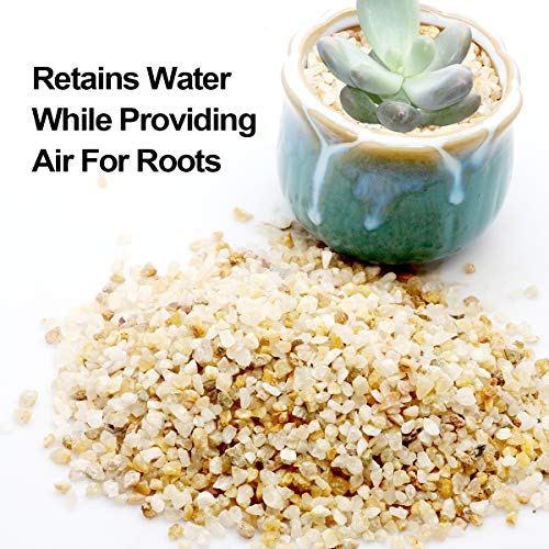 TOYPOPOR Coarse Silica Sand 2.2lb for Bonsai Cacti Succulent and Carnivorous Plant Mix - color: Gold Sand Rock, size: 2.2 lb