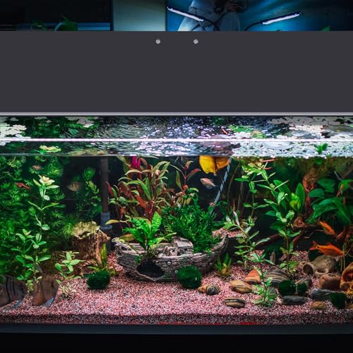 Sieral Aquarium Polycarbonate Canopy Set 15.37 x 7.63 x 0.12 Inch for 5 Gallon Without Center Brace Aquariums Cover Fish Tank Lid with a Hook Knife, Black - color: Black, size: 16 x 8 Inch