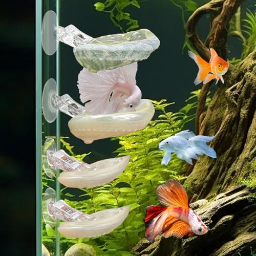 CAIJ 4 Pcs Betta Fish Resting Spot Shell Bed for Aquarium, Betta Hammock with Suction Cups, Natural Shell Habitat Designed for Betta, Fish Tank Accessories Decorations
