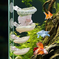 CAIJ 4 Pcs Betta Fish Resting Spot Shell Bed for Aquarium, Betta Hammock with Suction Cups, Natural Shell Habitat Designed for Betta, Fish Tank Accessories Decorations