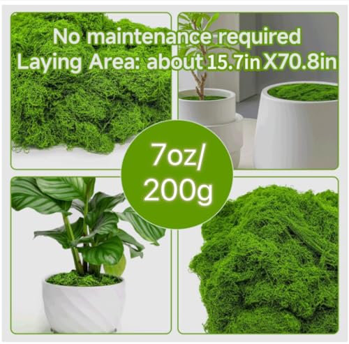Aspamms Fake Green Moss for Potted Plants Indoor, 7oz Artificial Moss for Crafts, Faux Moss Decor for Fairy Garden, DIY Decorative, Model Making, Walls, Glass Containers, Home - color: Light Green 7oz