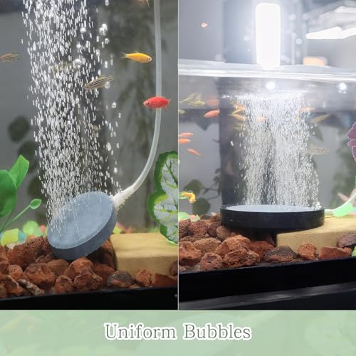 WishLotus Air Stones for Fish Tanks, 8/10cm Round Oxygen Diffuser Aquarium Air Stone with Check Valves and Control Valves Aquarium Bubble Disc for Fish Tank Small Ponds (10 cm) - color: 10 cm