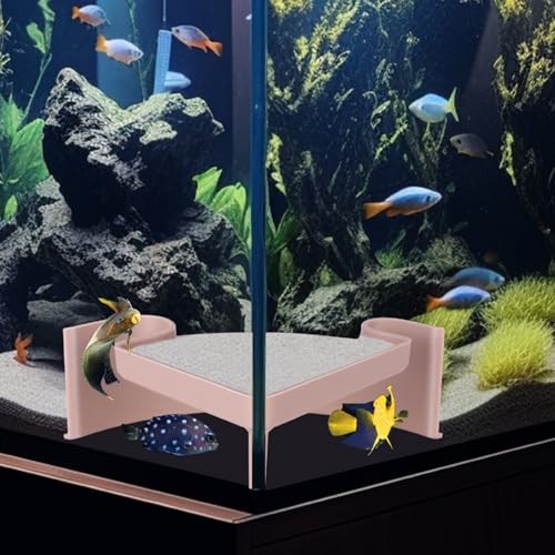 Aquarium Corner Cave with Viewing Window – 2-Hole Fish Hideout for Plecos, Cory Catfish, Shrimp, Kuhli Loach, Betta – Safe Plastic Undergravel Shelter for Bottom Dwellers (5"x5"x2") - color: Two Hole Corner Cave Beige Medium