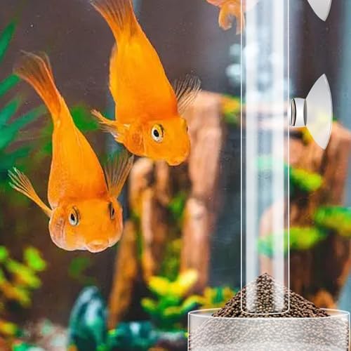 3 Pcs Shrimp Feeding Tube and Dish Set Clear Crystal Glass Shrimp Feeder Tube Tray Aquarium Feeder Tube Shrimp Feeding Dish Bowl Suction Cups for Fish Tank Aquarium Feeding Supplies Tools