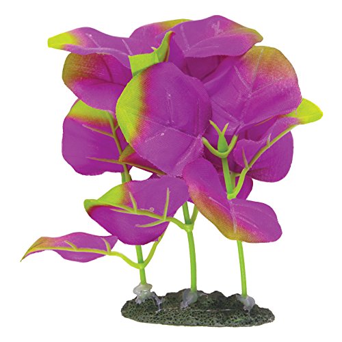Marina Naturals Indigo Moneywort Foreground Silk Plant, PP116