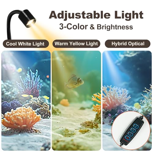 Desktop Aquarium Mini Tank Kit, 1.2 Gallon Rimless Cube with Filter, LED Spotlight, Black Background, Glass Construction, Pipette for Betta Fish, Guppies, Tetras