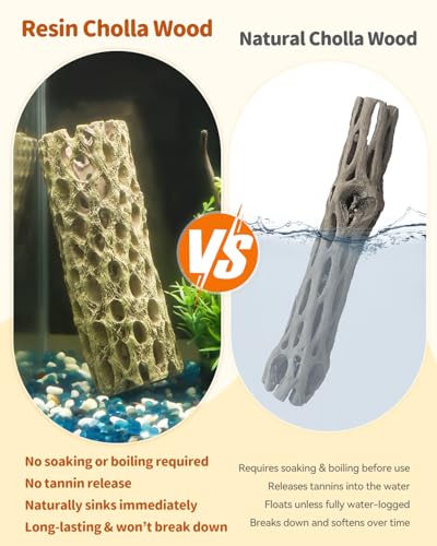 Uniclife Shrimp Hides for Aquarium, Shrimp Cave, Realistic Resin Aquarium Hollow Cholla Wood Decorations, Shrimp Hideout Tank Accessories for Fish Tank Decor, Hiding & Resting,2pcs - size: 2 PC