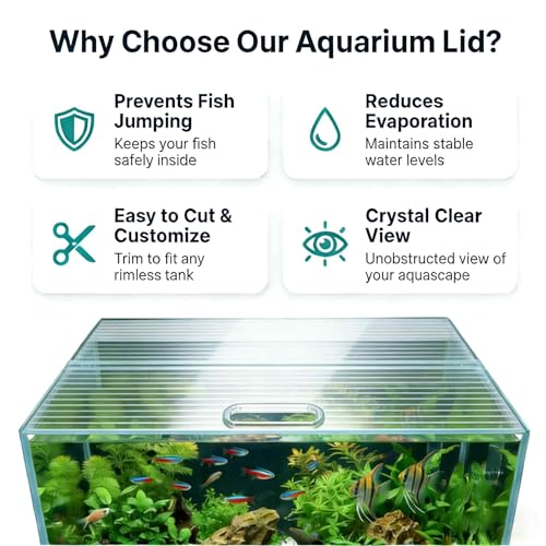 Aquarium Canop Polycarbonate 19.37 x 9.37 x 0.24 for 5/10/15/20 Gallon Without Center Brace Aquariums Cover Aquarium Lid，Clear - size: 20 x 10 Inch