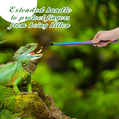 Lasnten 2 Pcs Extra Long Stainless Steel Reptile Feeding Tongs with Rubber Tip 15 Inch Bearded Dragon Aquarium Straight and Curved Long Tweezer Terrarium Feeder Tool for Tank (Colorful) - color: Colorful, size: 15 Inch