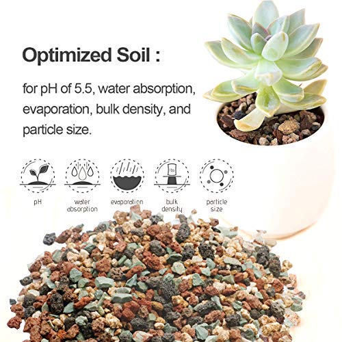 TOYPOPOR Mix Horticultural Lava Rock Pebbles Pumice Potting Soil Amendment Succulent Cactus Bonsai Gritty Rock Decorative Gravel Plant Drainage Volcanic for Terrarium Fairy Gardening Top Dressing 6lb - color: Multi, size: 6 lb