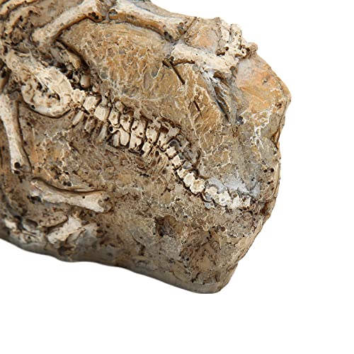 GLOGLOW Aquarium Dinosaur Decoration Resin Ornament for Fish Tank, Prehistoric Statue Hideaway Cave Decor for Betta Cichlid Shrimp, 6.5 Inch