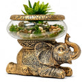 Good Luck Elephant Terrarium Bowl – Antique Gold Elephant Figurine with Removable Glass Bowl, Succulent Planter, Candle Holder, Air Plant Display & Zen Home Décor Accent