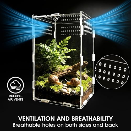 Jumping Spider Enclosure, Acrylic Terrarium with Magnetic Door & All-Side Ventilation, Easy-Clean Habitat for Spider, Tarantula, Mantis, Snail-5.9" x 5.9" x 9.8"(Tweezer and Bowl Included) - size: Basic Vertical-Kit