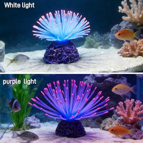 Glowing Sea Urchin Aquarium Decor - Fluorescent Rainbow Ornament with Weighted Base for Fish Tank, Safe Soft Silicone, Freshwater & Saltwater, Vibrant Glow Under Blue Light (Pink) - color: Pink