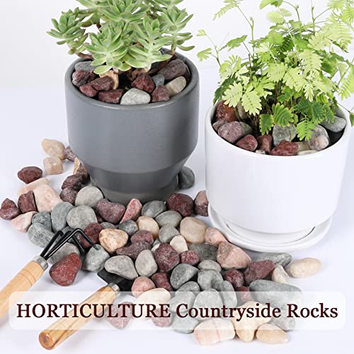 5lbs Natural River Rocks, Polished Pebbles for Plants Garden, 1-2 inch Decorative Countryside Stones, Ideal for Fish Tank, Vases, Crafting, Garden Landscaping Rocks,Countryside - size: 5 Pounds, style: Idyllic