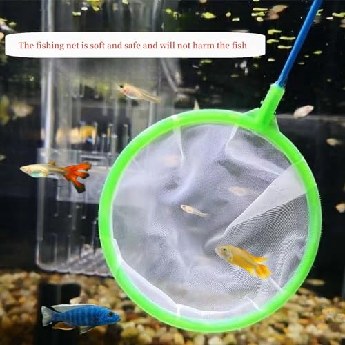 Aquarium Fish Net 30 PCS Cleaner Net Fish Tank Filter Nets High Density Fish Tank Mesh Nets, with Plastic Handle 5 Inches Diamete，Random Colors