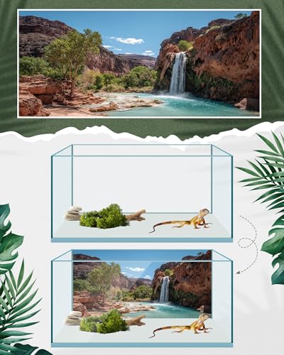 4 Pcs 48 x 18 Inch Reptile Tank Background Reptile Tank Accessories Polyester Terrarium Background Decor for Leopard Gecko Turtle Bearded Dragon(Canyon Waterfall, Bark, Cactus, Gobi Desert)
