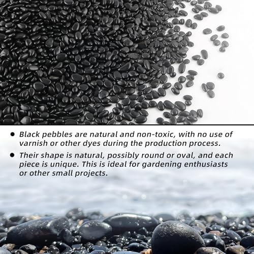18lb 1/4" Small Pebbles Black for Plants,Potting,Succulents Aquarium Fish Tank Vases Decorative Garden Polished Gravel Rocks Stones - color: Black, size: 18lb