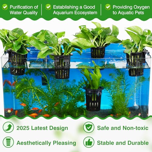 Borlech 2025 New Upgraded Large Aquarium Plant Holder with 1.57-inch Extension Hooks and Suction Cups for Fish Tank Aquaponic Plant Cultivation and Aquascape Accessories Decorations (4 PCS) - color: Black-4 Pieces