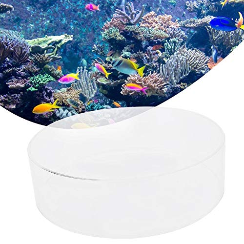 Coral Viewer Fish Tank Acrylic,Fish Tank Acrylic Coral Observe Lense Aquarium Fish Photograph Cylinder Magnifier Coral Observe Lense (150mmm)