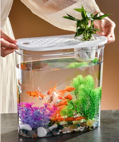 Small Fish Tank 2 Gallon, Desktop Mini Fish Tank, Starter Kits Betta Fish Tank with Decor Stones and Water Grass Decorations for Home or Office