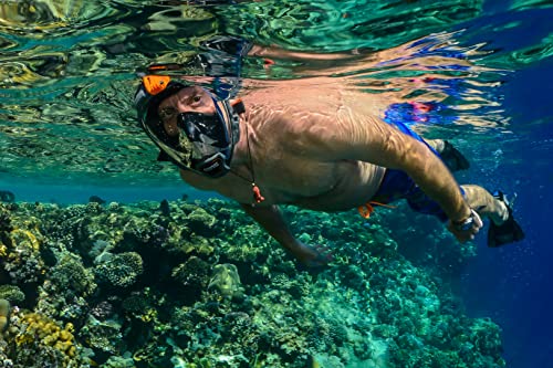 OCEAN REEF - Aria QR + Quick Release Snorkeling Mask - Full Face Snorkeling Mask - 180 Degree Underwater Vision - 8 Colours and 4 Sizes - color: Black, size: Medium-Large