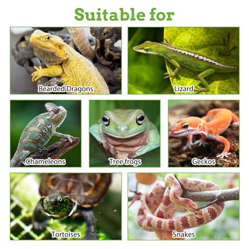 PINVNBY 8 Pack Reptile Plants Terrarium Hanging Fake Vines with Suction Cup Artificial Leaves for Bearded Dragons Lizards Geckos Snake Hermit Crab (4PCS Green, 2PCS Purple and 2PCS Red) - color: 8pcs (4 X Green, 2 X Purple, 2 X Red)