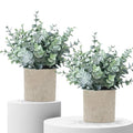 2 Pack Fake Plants Eucalyptus Small Potted Artificial Plants Indoor Greenery for Shelf Desk Home Bathroom Modern Farmhouse Living Room Coffee Table Decor
