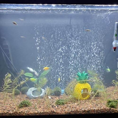 Saim 16 inch Aquarium Air Stone Bar, 2 Piece Bubbles Release Oxygen Diffuser Bar, Fish Tank Mineral Air Bubble Air Stone Bar for Nano Air Pump Small Bucket and Fish Tank - size: 2 Pcs 16 inch Aquarium Bubble Air Stone
