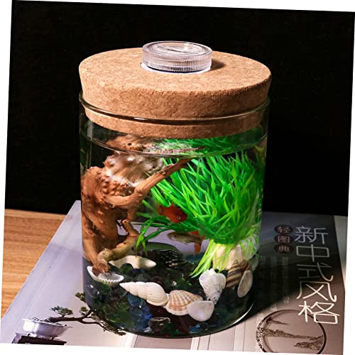 Ciieeo Cylinder High Borosilicate Glass Moss Plant Bottle Creative DIY Microlandscape Terrarium Holder for Indoor Decoration Mini Fish Tank - size: 9.50X6.20X6.20CM