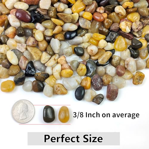 YISZM 2LB Succulent and Cactus Gravel Pebbles, 3/8 Inch Decorative Polished Stones, River Rocks for Plants, Vases, Aquariums, Terrarium and Outdoor Gardening, Natural - color: Natural, size: 2 Pounds