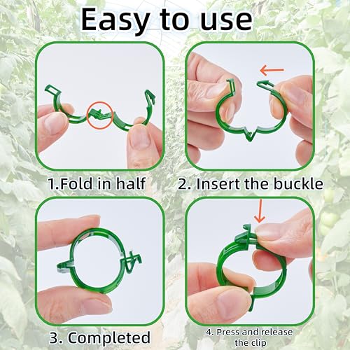 200Pcs Garden Vine Plant Support Clips,Plastic Fixing Clips for Securing and Training Climbing Plants,Tomatoes,Grapes,Vine Vegetables and Potted Plant (200, White) - color: White