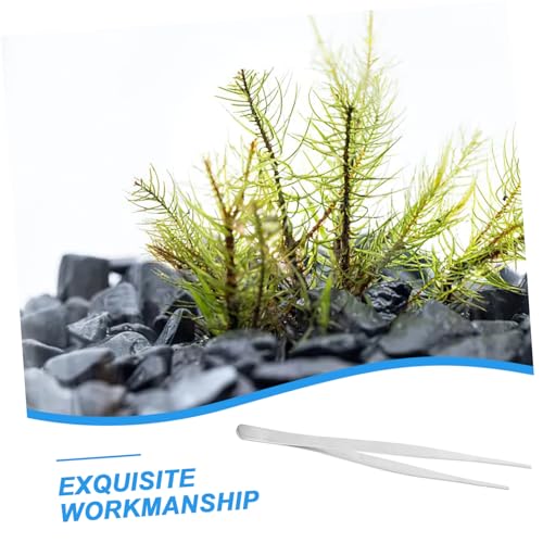 BESPORTBLE Stainless Steel Straight Tweezers for Aquarium Planting Durable and Flexible Precision Tool for Easy Water Plant Positioning
