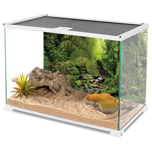 AWERT Tropical Forest Terrarium Background Stream Green Huge Tree Reptile Habitat Background Foggy Rainforest Aquarium Background 60x24 inches Durable Polyester Background - size: 60 x 24 inches