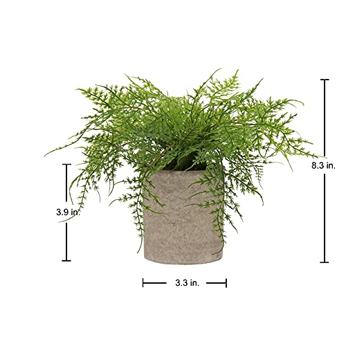 Briful Small Fake Plant Potted Plants Artificial Decor Plastic Asparagus Ferns Plant Faux Plants in Pots for Home Living Room Bedroom Desk Shelf Farmhouse Decoration - color: Color #03