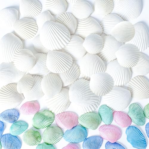 68 Pcs Small Natural Scallop Seashells 1-1.5 Inch Decorative Sea Shells for DIY Painting Projects,Coastal Crafts,Beach Theme Decor,Wedding Centerpieces, Aquarium,Vase Fillers,White,Colored Mix - color: White/Small