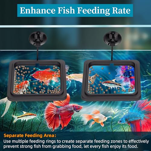 DaToo Fish Feeding Ring Aquarium Square Floating Food Feeder Circle with Strong Suction Cup Fish Tank Feeding Ring for Betta Goldfish Guppy
