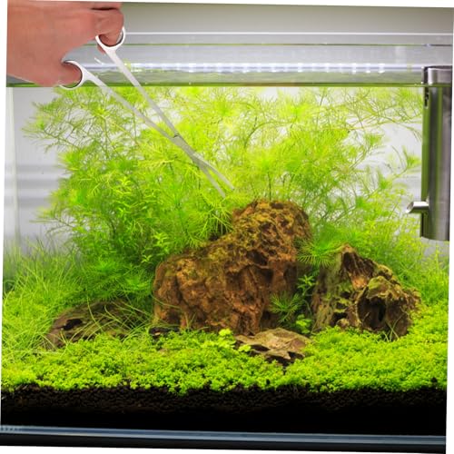 BESPORTBLE 1set Aquarium Aquascaping Tools Kit Water Plant Scissors Tweezers Spatula for Fish Tank Maintenance for Pruning Delicate Aquatic Plants