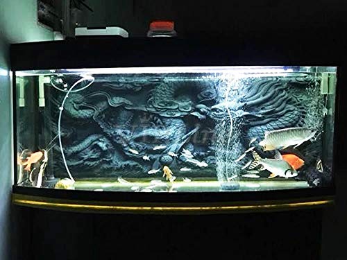 Dragon Relief Aquarium Background Poster PVC Fish Tank Decorations Landscape (48" x 30"/ 122 x 76cm) - size: 48" x 30"/ 122 x 76cm