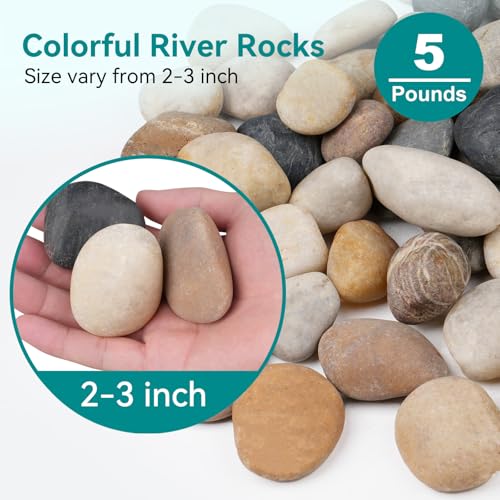 5 lbs Rocks for Outdoor Landscaping, 2"-3" Aquarium Rocks for Fish Tank, Natural Decorative Garden Stone for Plants, Flower Pots, Vase, Walkways, Yard - color: Mixed, size: 5 lbs, 2-3 Inch