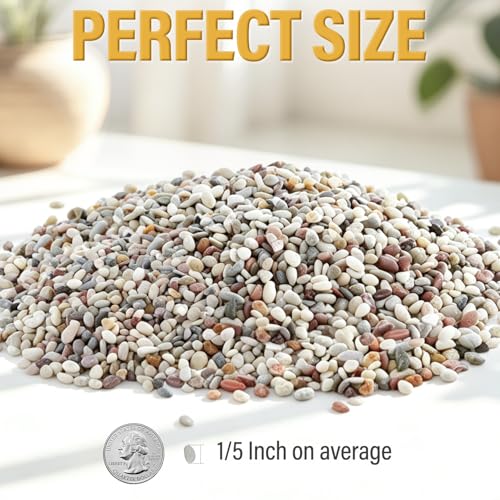 7lb Succulent and Cactus Gravel Pebbles, 1/5 Inch Mixed Color Natural Rocks for Fish Tank, Indoor Plants, Aquarium, Vases, Landscaping - color: AK Stones, size: 7lb