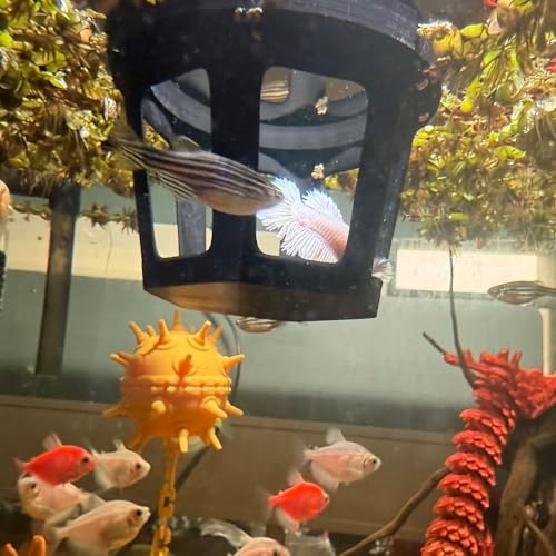 HOZOE Aquarium Betta Hammock, Betta Hideout & Cave, Floating Feeding Ring for Fish and Shrimp, Aquarium Floating Decoration Accessory (Black) - color: Black