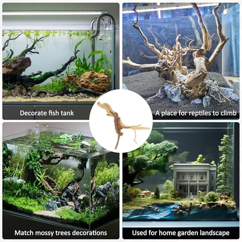 8 Pcs Natural Spider Woods, 4-8 Inch Small Driftwood Branches, Aquarium Driftwood for Reptile Fish Tank Decorations