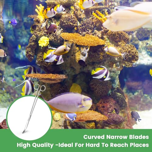 12" Stainless Steel Aquarium Scissors, Curved Long Aquatic Plant Trimming Scissors for Aquascaping, Fish Tank & Terrarium Maintenance in Fresh & Salt Water (Silver)