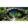 AWERT 48x18 inches Arch Stone Aquarium Background River Bed & Lake Aquarium Vinyl Background Aquatic Plant Fish Tank Background - size: 48x18in/120x45cm