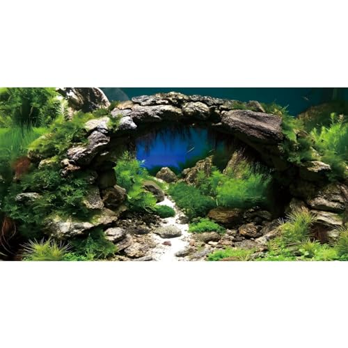 AWERT 36x20 inches Arch Stone Aquarium Background River Bed & Lake Aquarium Vinyl Background Aquatic Plant Fish Tank Background - size: 36x20in/90x50cm