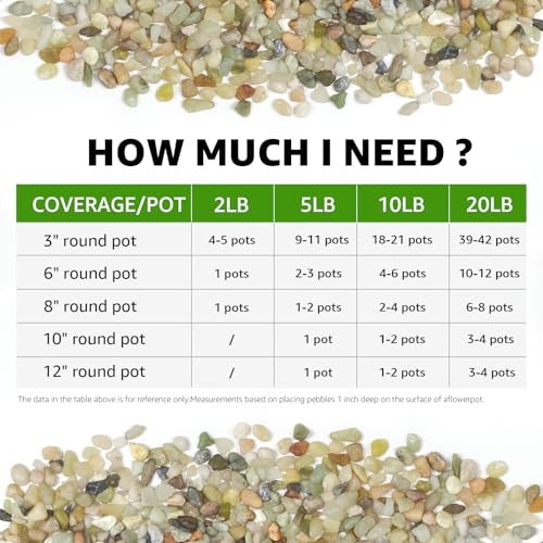 5lbs Natural Gravel Pebbles for Succulents and Cacti, 1/5 Inch Decorative River Stones – Perfect for Vases, Aquariums, Terrariums, and Outdoor Gardening, Mixed Colors (Jade, 5 Pounds) - color: Jade, size: 5 Pounds