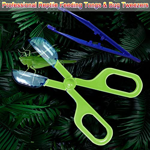 Feeding Tongs,Bug Tweezers for Kids Adults, Reptile Feeding Tweezers Long Handle Feeder Tools for Fish Aquariums Reptiles Snakes Lizard Gecko Spider and Bird (Green) - color: Green