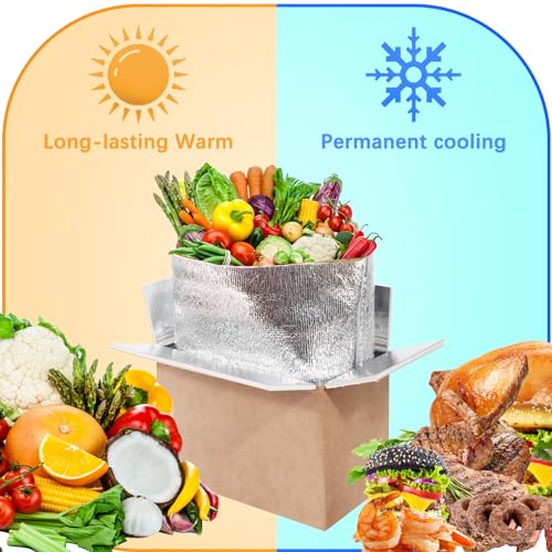 Double Insulated Shipping Boxes,10 Pack Cold Shipping Boxes with Aluminum Foil Insulated Bag,Small Mailing Box Styrofoam Box for Shipping Frozen Food,Mailing,Packing,Moving,9" x 6" x 5"